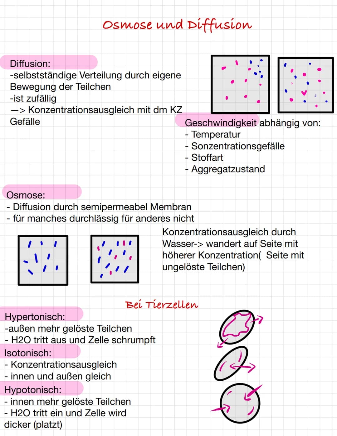 Osmose und Diffusion
Diffusion:
-selbstständige Verteilung durch eigene
Bewegung der Teilchen
-ist zufällig
-> Konzentrationsausgleich mit d