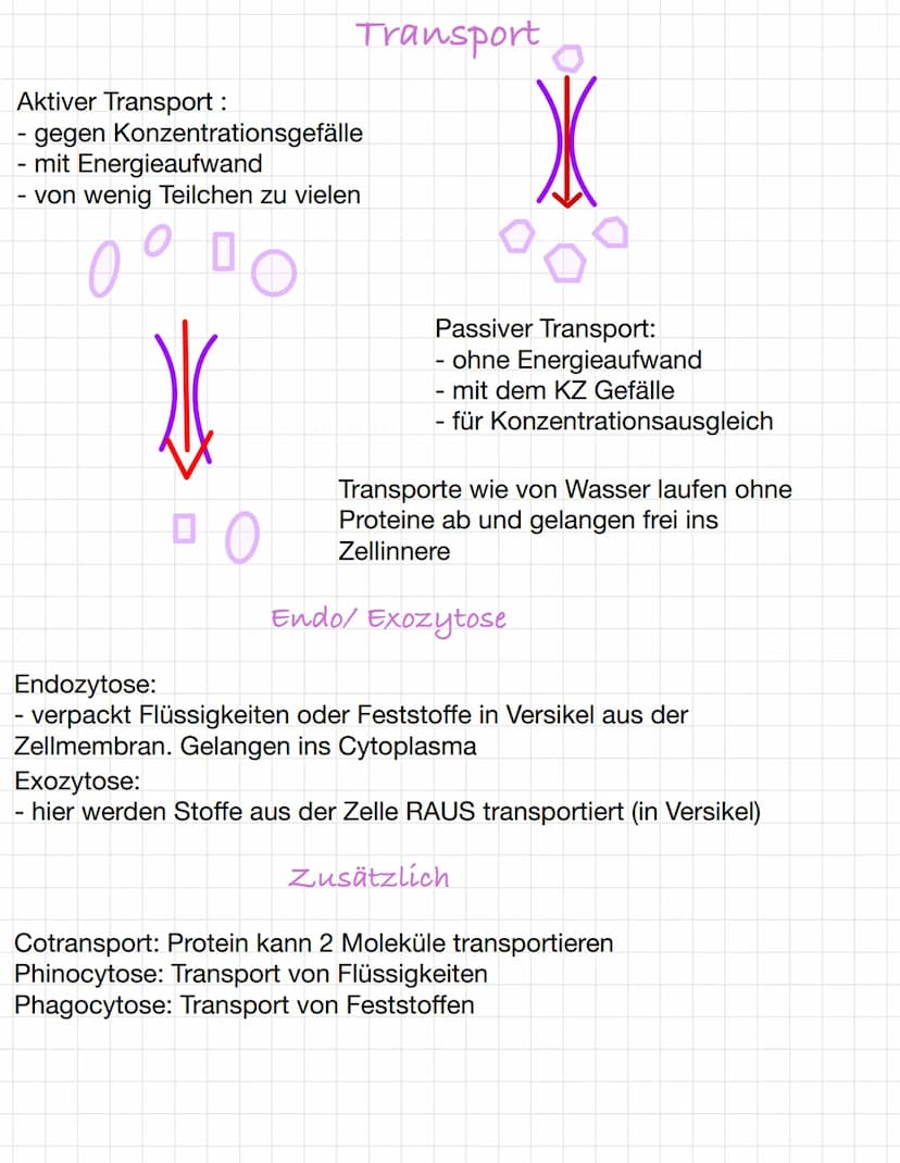 Osmose und Diffusion
Diffusion:
-selbstständige Verteilung durch eigene
Bewegung der Teilchen
-ist zufällig
-> Konzentrationsausgleich mit d