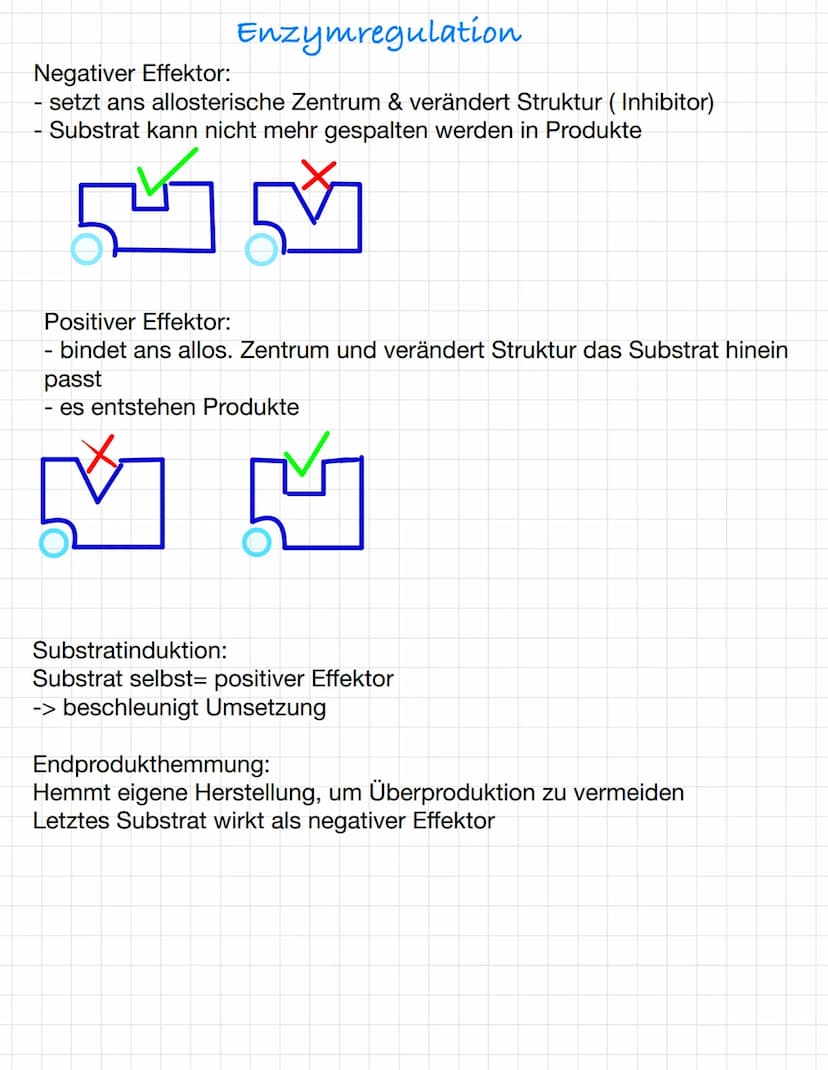 Osmose und Diffusion
Diffusion:
-selbstständige Verteilung durch eigene
Bewegung der Teilchen
-ist zufällig
-> Konzentrationsausgleich mit d