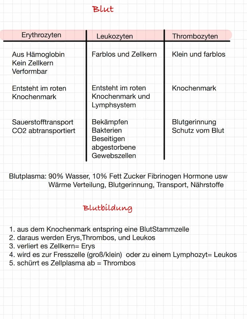 Osmose und Diffusion
Diffusion:
-selbstständige Verteilung durch eigene
Bewegung der Teilchen
-ist zufällig
-> Konzentrationsausgleich mit d
