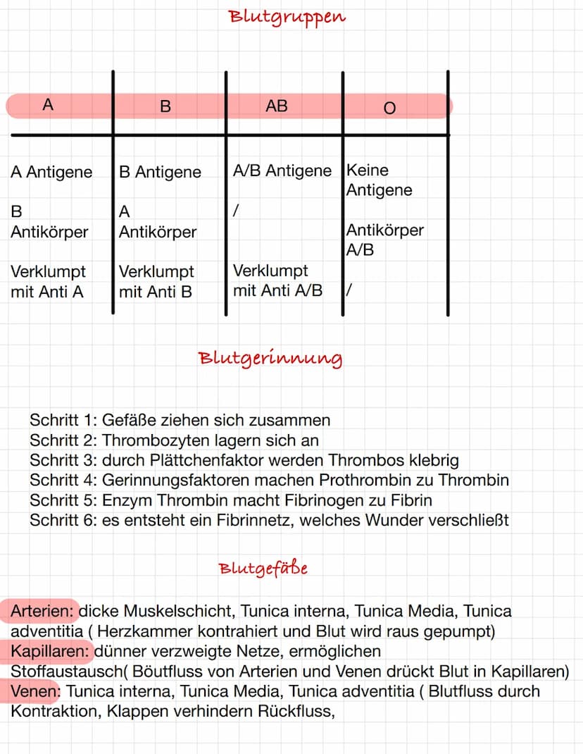 Osmose und Diffusion
Diffusion:
-selbstständige Verteilung durch eigene
Bewegung der Teilchen
-ist zufällig
-> Konzentrationsausgleich mit d
