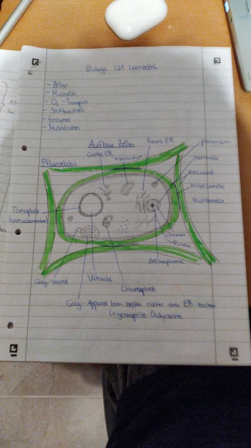 Biologie Lernzettel Q3 (stand: 25.10.2020) Biologie Lernzettel Q1 Biologie Lernzettel Q2 Biologie Lemn zettel Q3
- Okologie: Wichtige Begrif