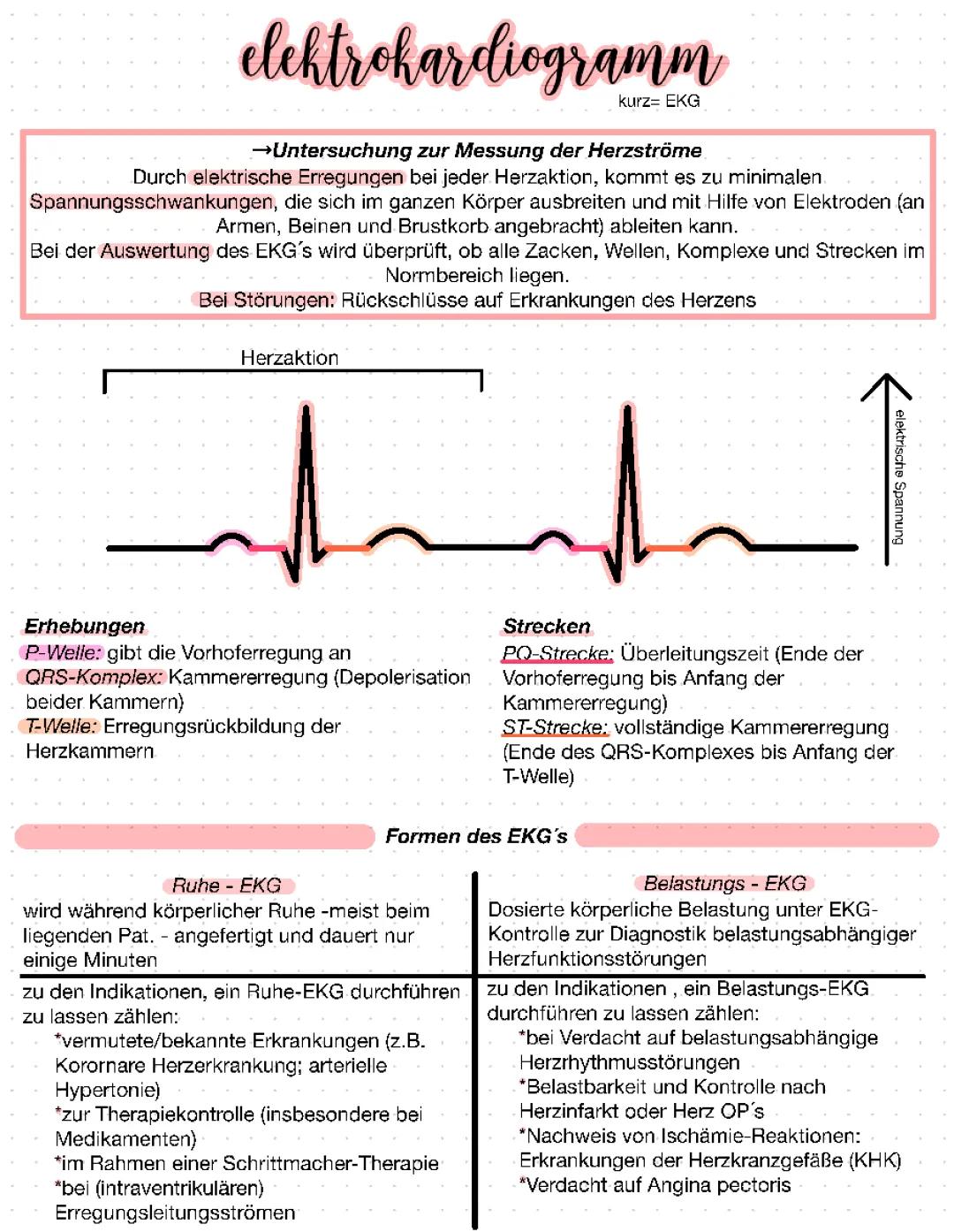 Elektrokardiogramm (EKG)
