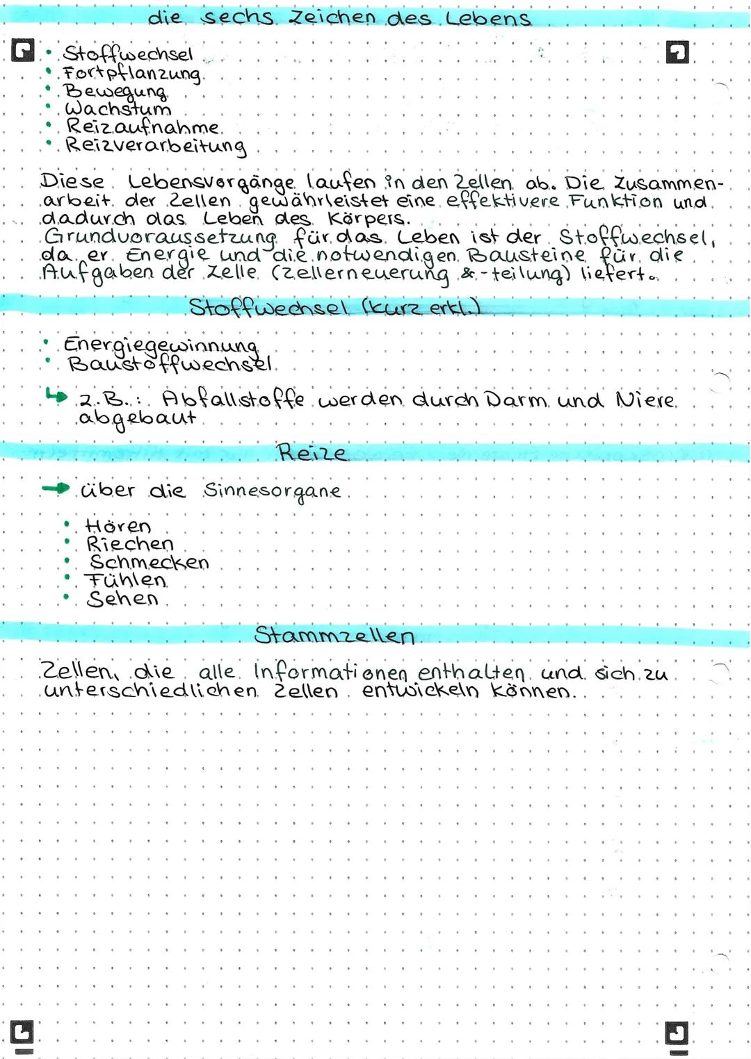 IG
die sechs Zeichen des Lebens
• Stoffwechsel
Fortpflanzung.
Bewegung.
Wachstum
Reizaufnahme.
Reizverarbeitung
Diese Lebensvorgänge laufen 