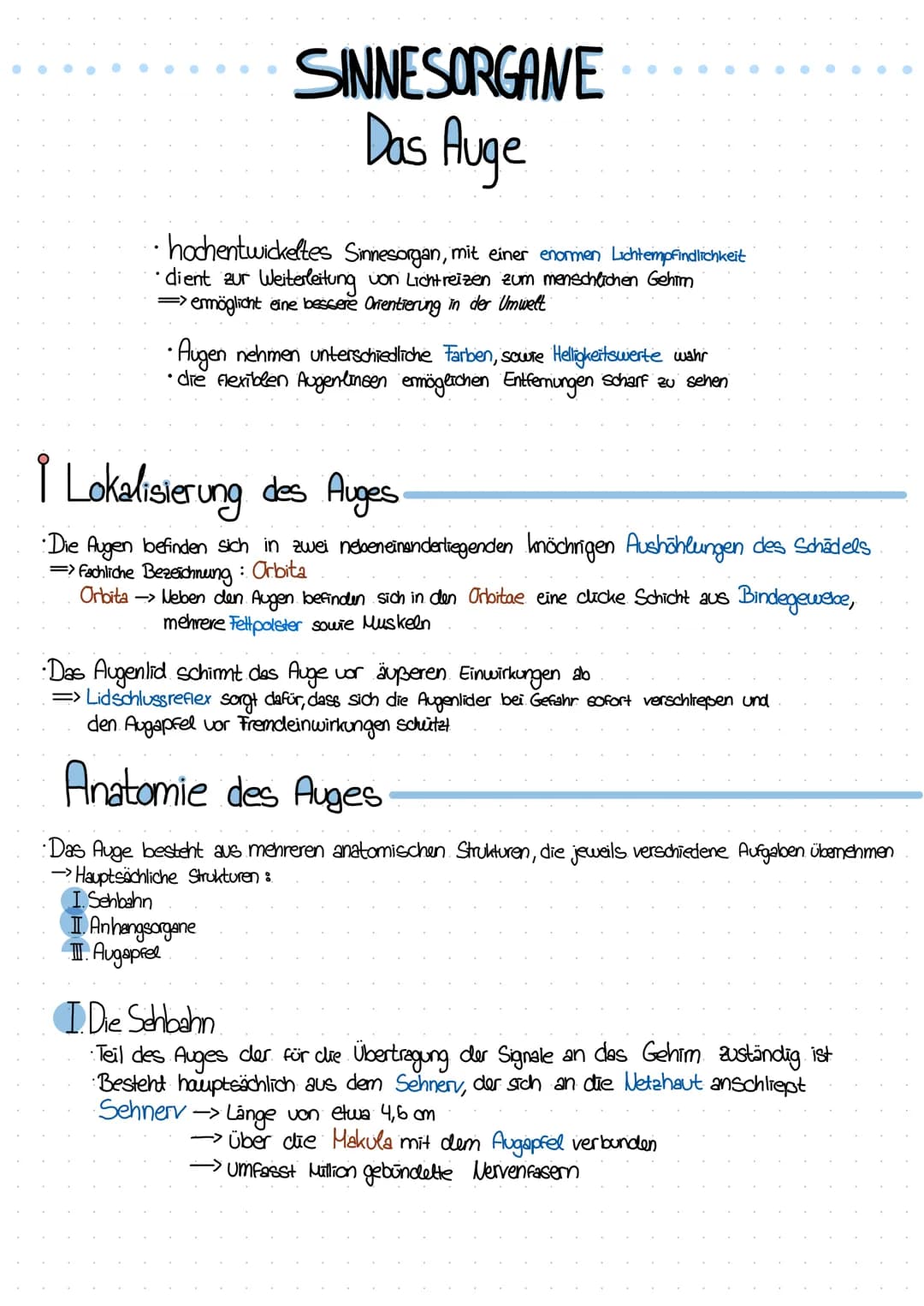 SINNESORGANE
Das Auge
hochentwickeltes Sinnesorgan, mit einer enormen Lichtempfindlichkeit
• dient zur Weiterleitung von Lichtreizen zum men