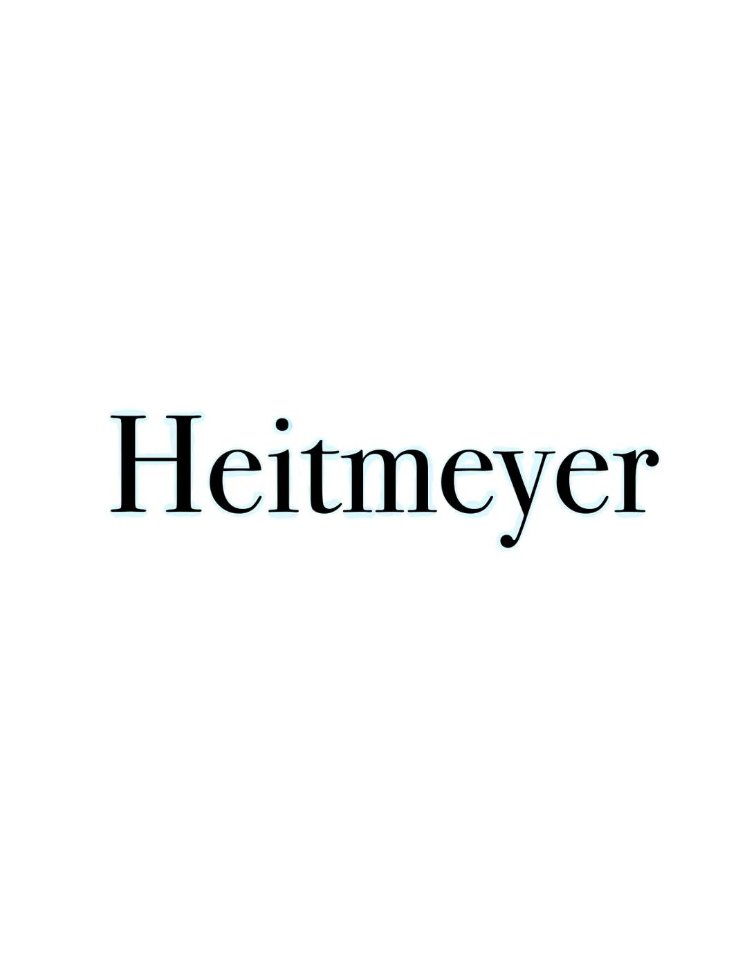 Heitmeyer Grundannahmen
Heitmeyer geht davon aus, dass das zentrale Problem der heutigen Gesellschaft, die Individualisierung ist.
Individua