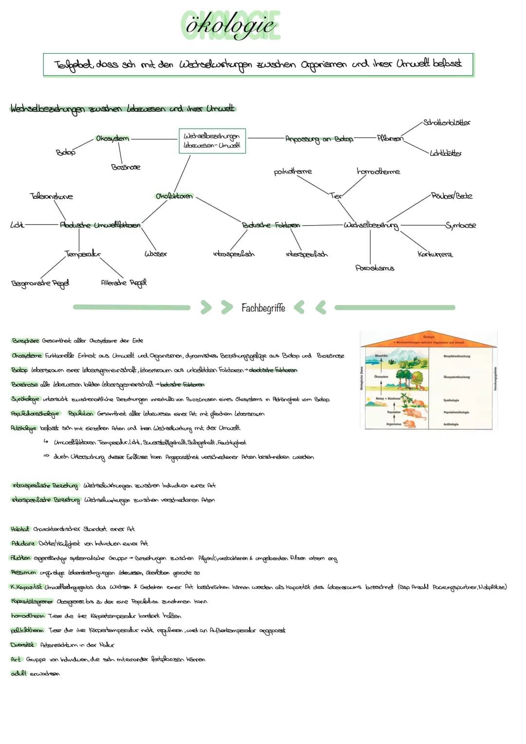 ökologie
Teilgebet, dass sich mit den Wechselwirkungen zwischen Organismen und ihrer Umwelt befasst
Wechselbeziehungen zwischen Lebewesen un