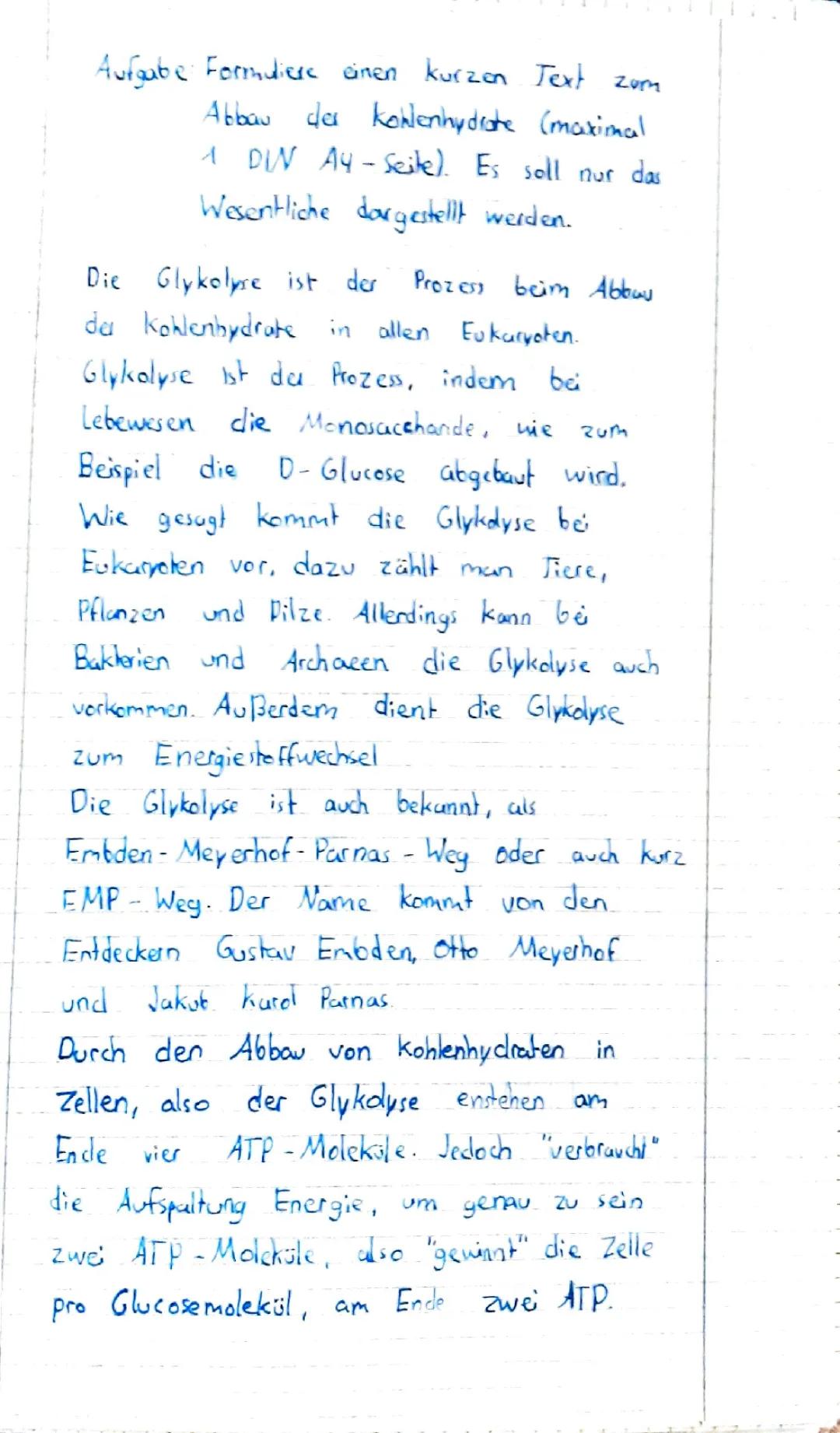 Verdauung und Abbau der Kohlenhydrate: Einfache Erklärungen & Arbeitsblatt