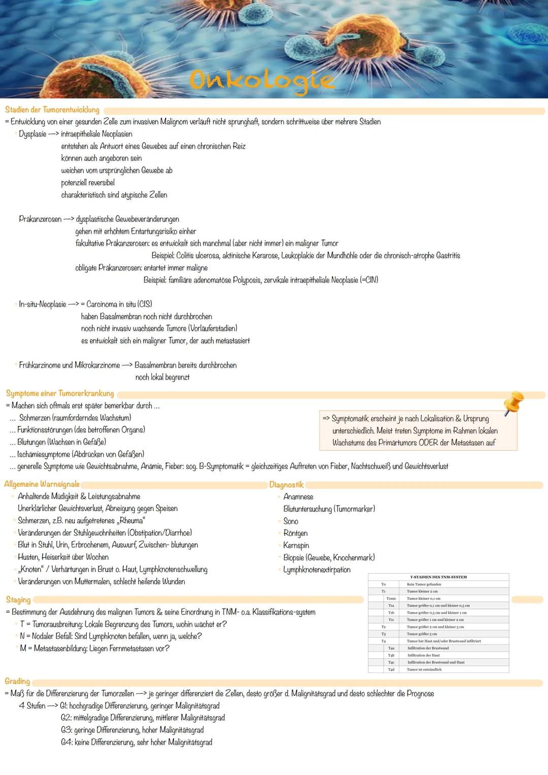 # Onkologie

Definition von Onkologie
- Lehre der Entstehung, Diagnostik und Behandlung/Prophylaxen von bösartigen Tumorerkrankungen
- besch