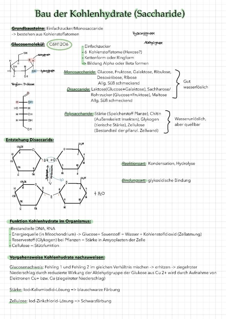 Know Kohlenhydrate, Eiweiße, Fette  thumbnail