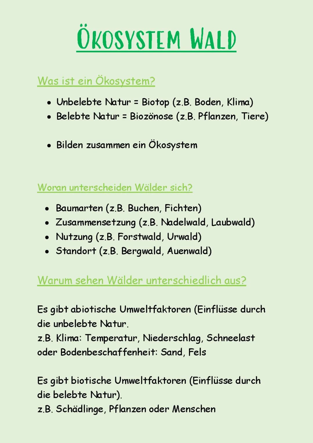 Ökosystem Wald