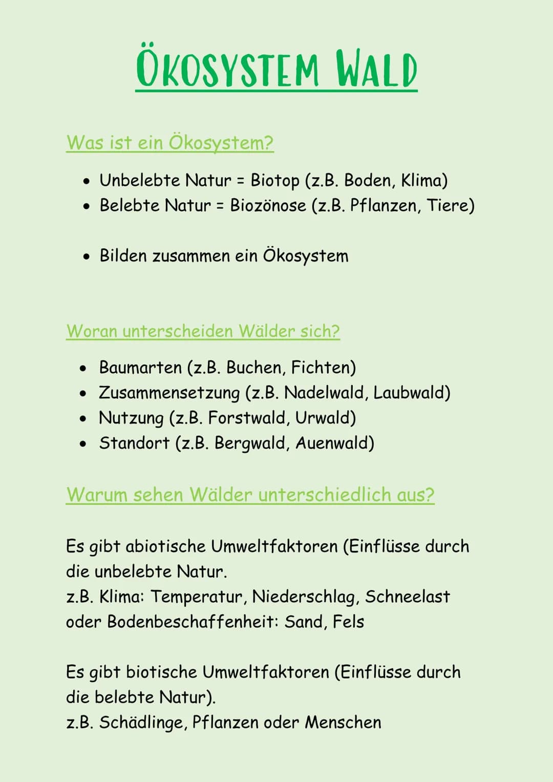 ÖKOSYSTEM WALD
Was ist ein Ökosystem?
• Unbelebte Natur = Biotop (z.B. Boden, Klima)
• Belebte Natur = Biozönose (z.B. Pflanzen, Tiere)
• Bi