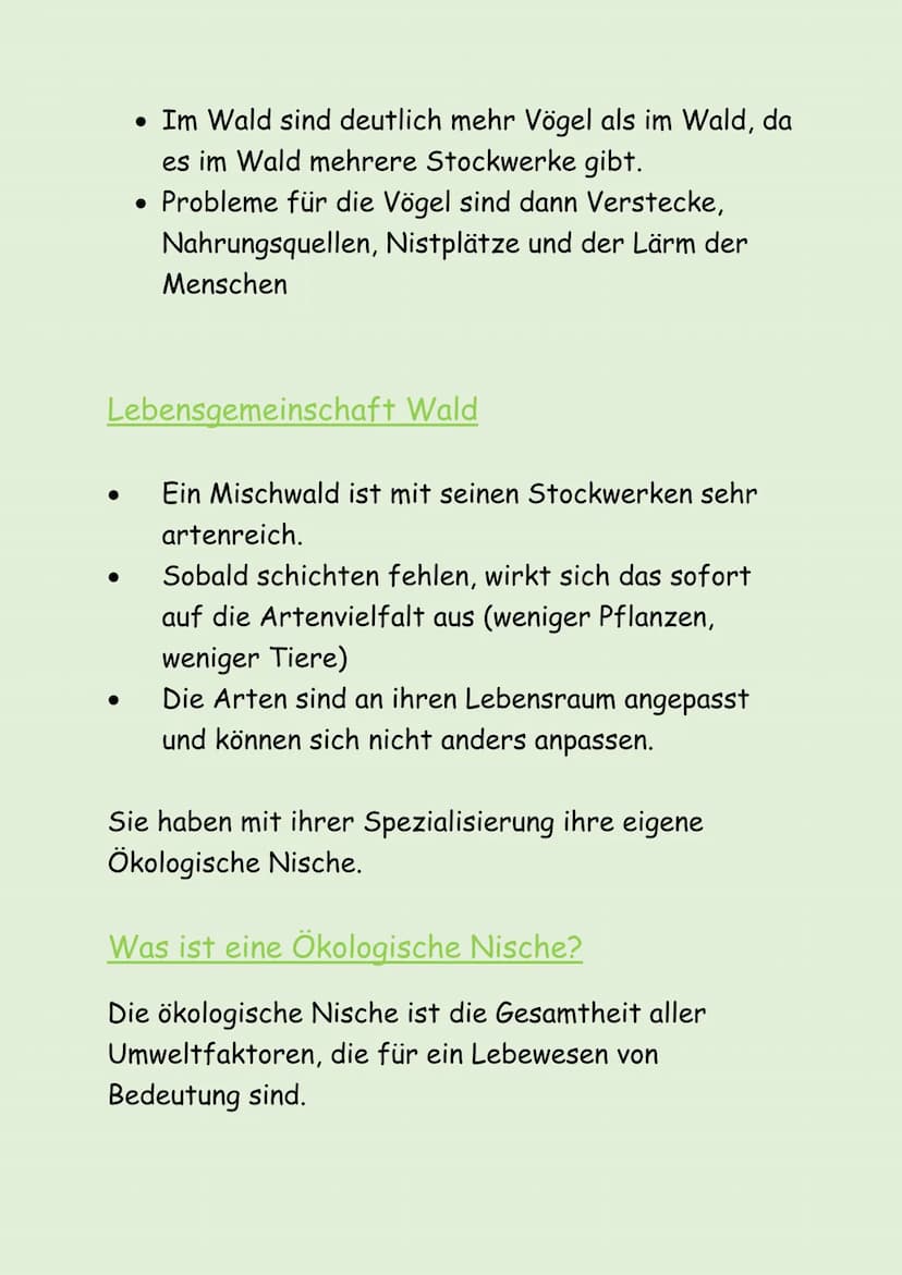 ÖKOSYSTEM WALD
Was ist ein Ökosystem?
• Unbelebte Natur = Biotop (z.B. Boden, Klima)
• Belebte Natur = Biozönose (z.B. Pflanzen, Tiere)
• Bi