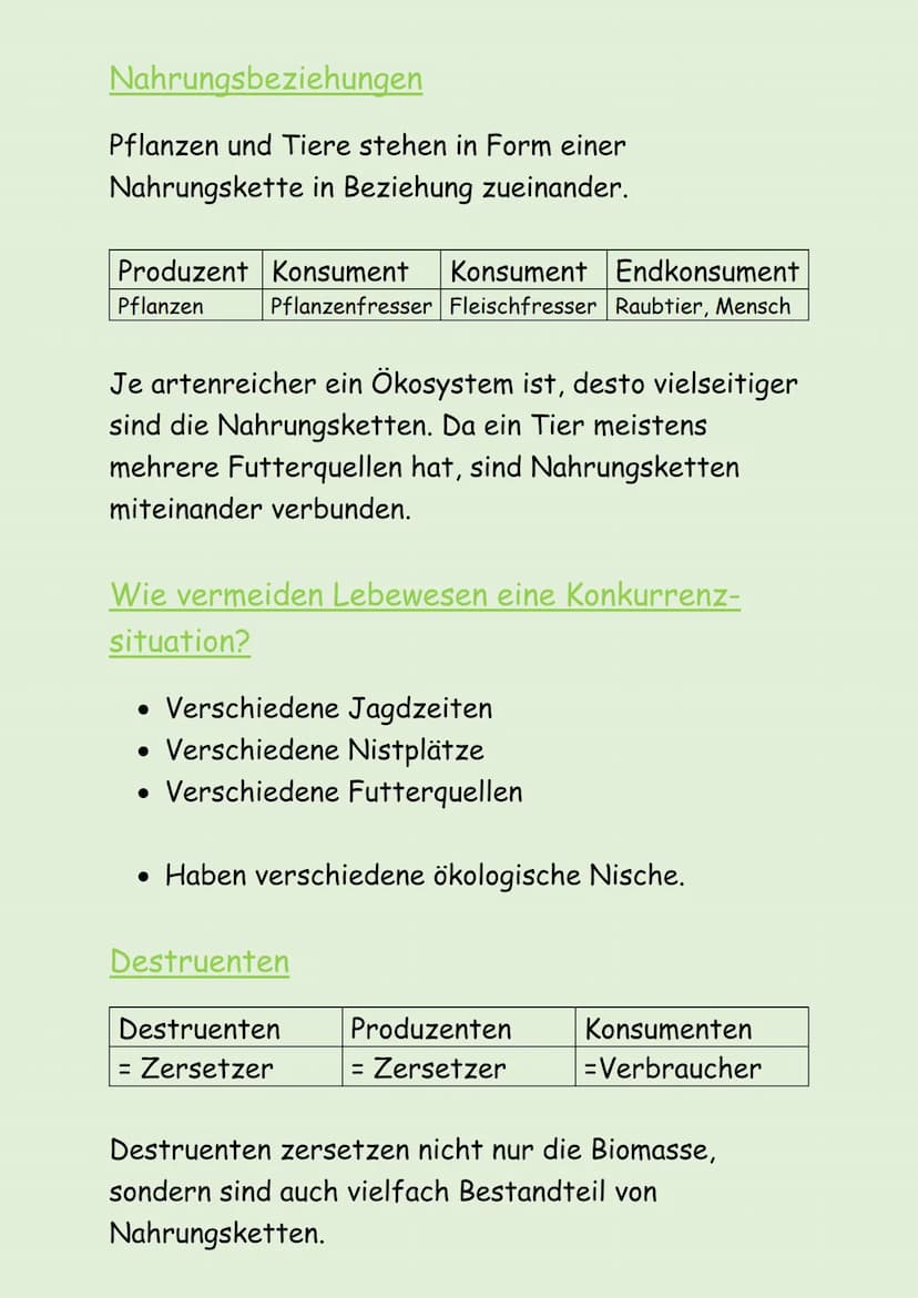ÖKOSYSTEM WALD
Was ist ein Ökosystem?
• Unbelebte Natur = Biotop (z.B. Boden, Klima)
• Belebte Natur = Biozönose (z.B. Pflanzen, Tiere)
• Bi