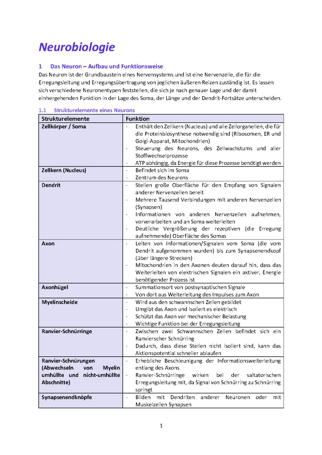 Die Nervenzelle: Aufbau und Funktion einfach erklärt mit Tabelle und Arbeitsblatt