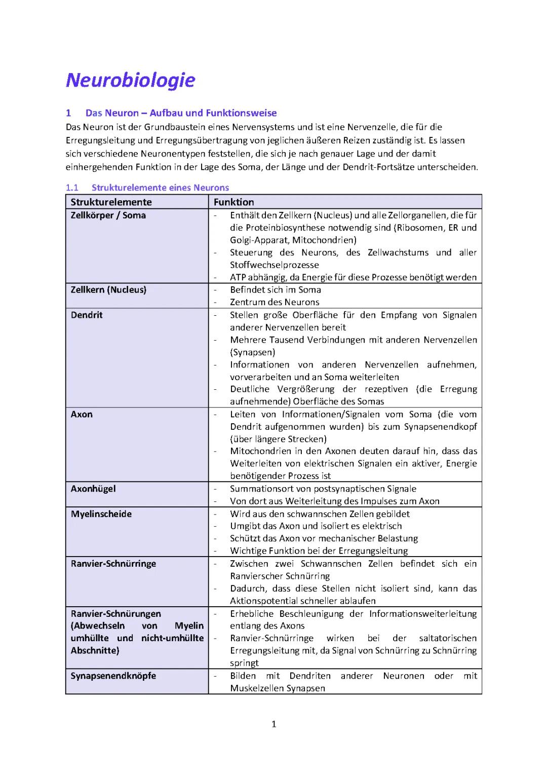 Die Nervenzelle: Aufbau und Funktion einfach erklärt mit Tabelle und Arbeitsblatt