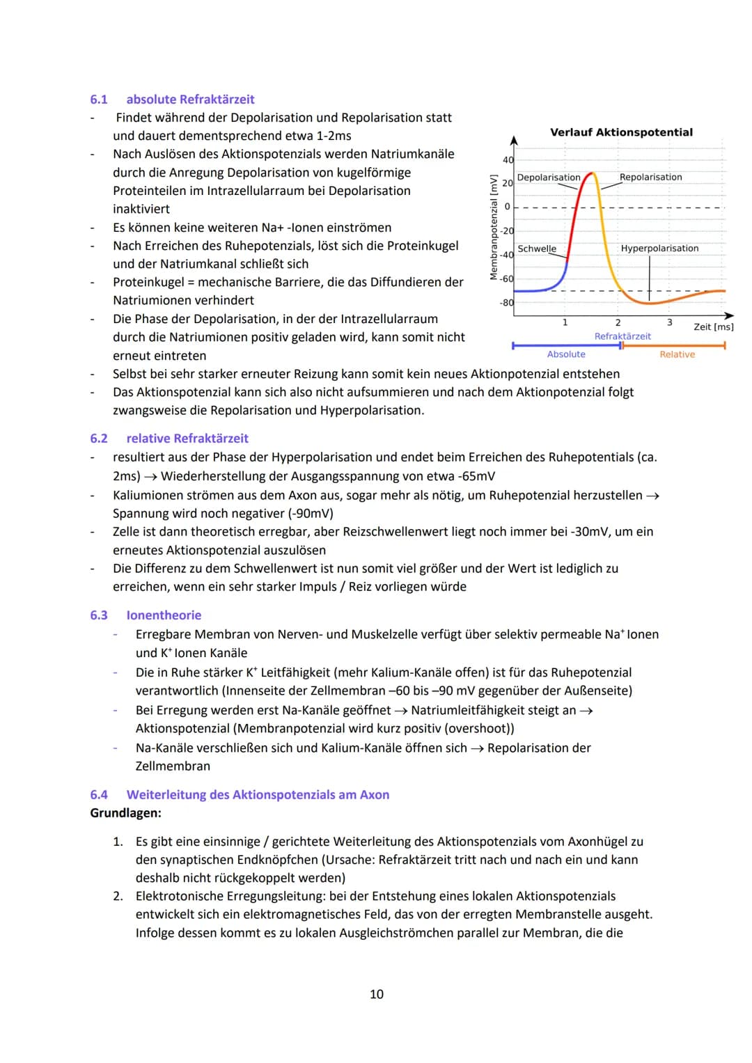 Neurobiologie
1
Das Neuron - Aufbau und Funktionsweise
Das Neuron ist der Grundbaustein eines Nervensystems und ist eine Nervenzelle, die fü