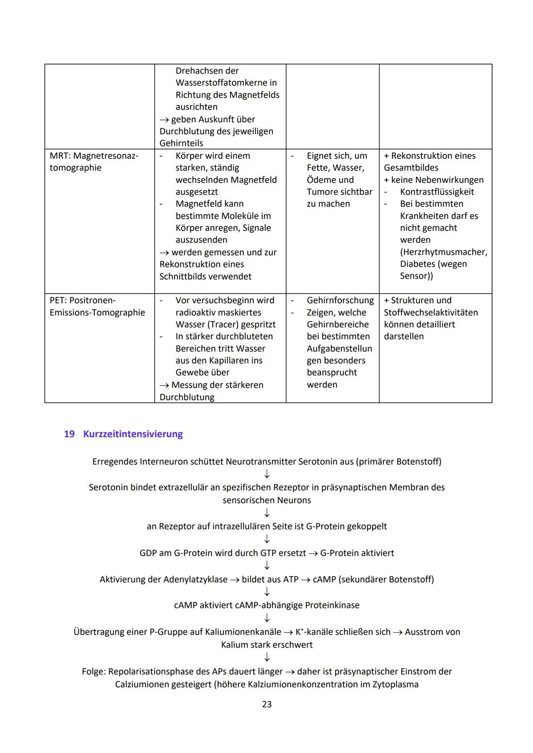 Neurobiologie
1
Das Neuron - Aufbau und Funktionsweise
Das Neuron ist der Grundbaustein eines Nervensystems und ist eine Nervenzelle, die fü