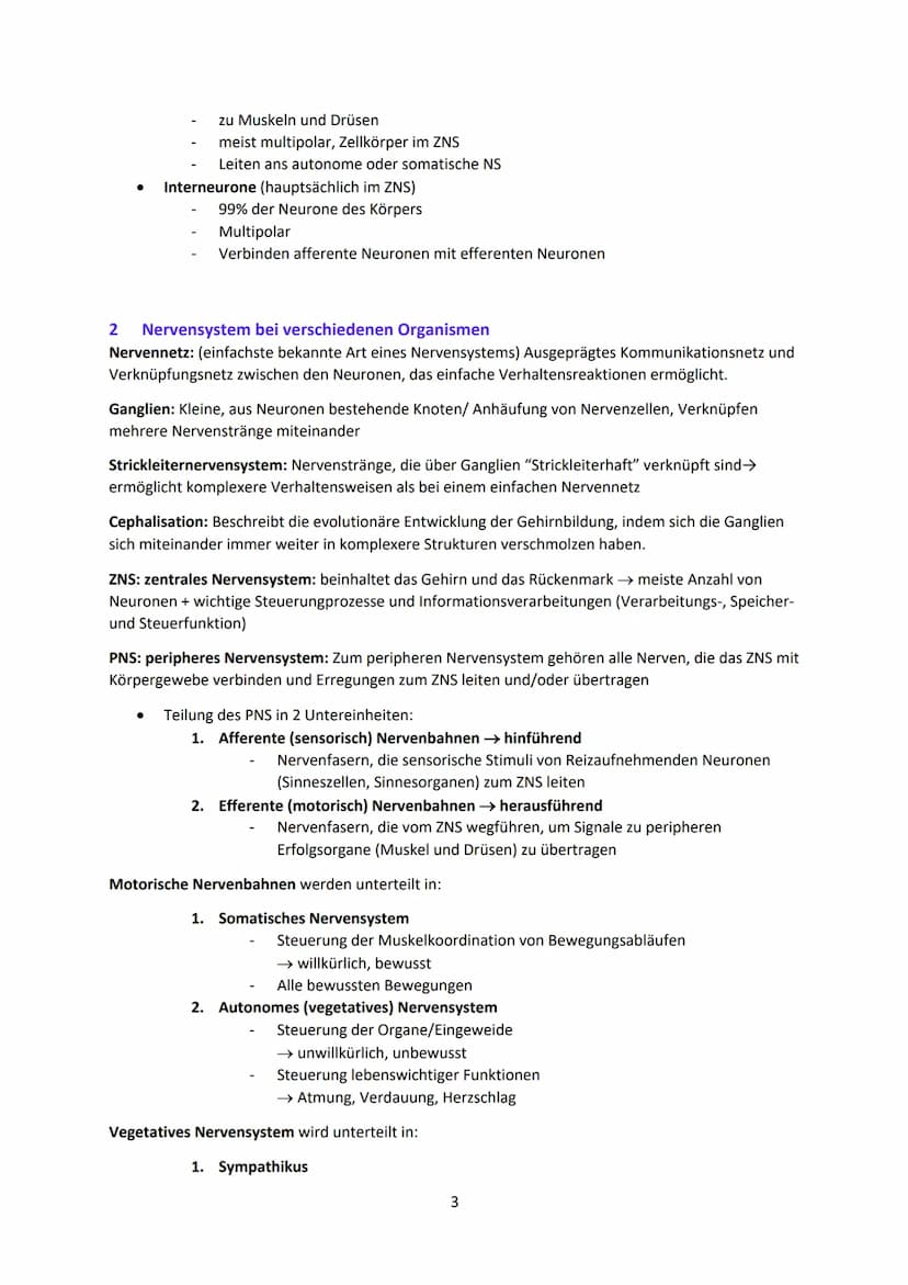 Neurobiologie
1
Das Neuron - Aufbau und Funktionsweise
Das Neuron ist der Grundbaustein eines Nervensystems und ist eine Nervenzelle, die fü
