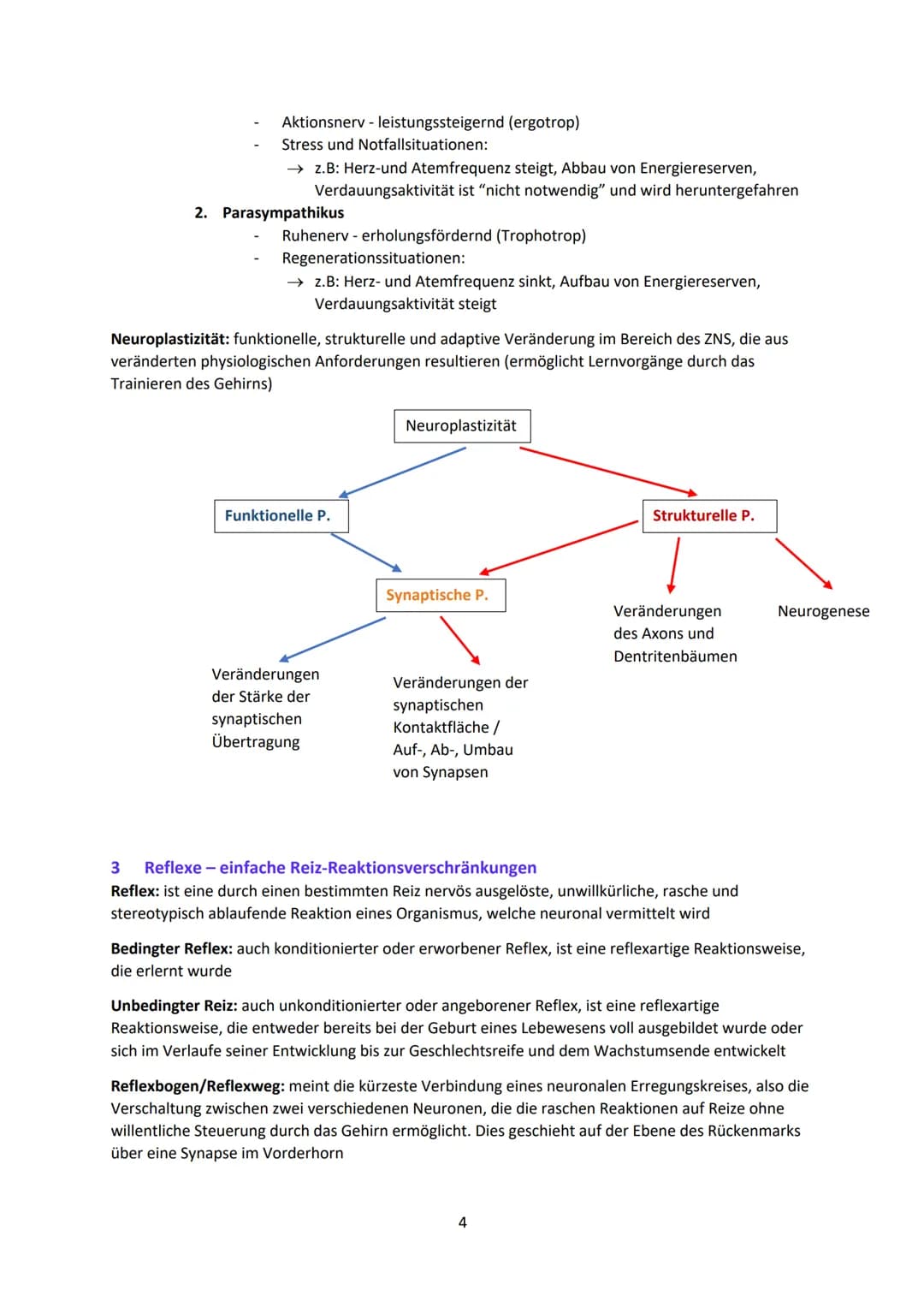 Neurobiologie
1
Das Neuron - Aufbau und Funktionsweise
Das Neuron ist der Grundbaustein eines Nervensystems und ist eine Nervenzelle, die fü