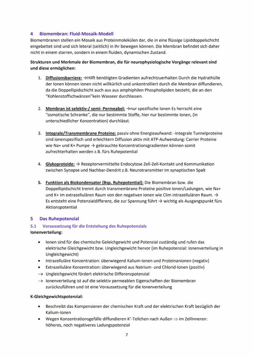Neurobiologie
1
Das Neuron - Aufbau und Funktionsweise
Das Neuron ist der Grundbaustein eines Nervensystems und ist eine Nervenzelle, die fü