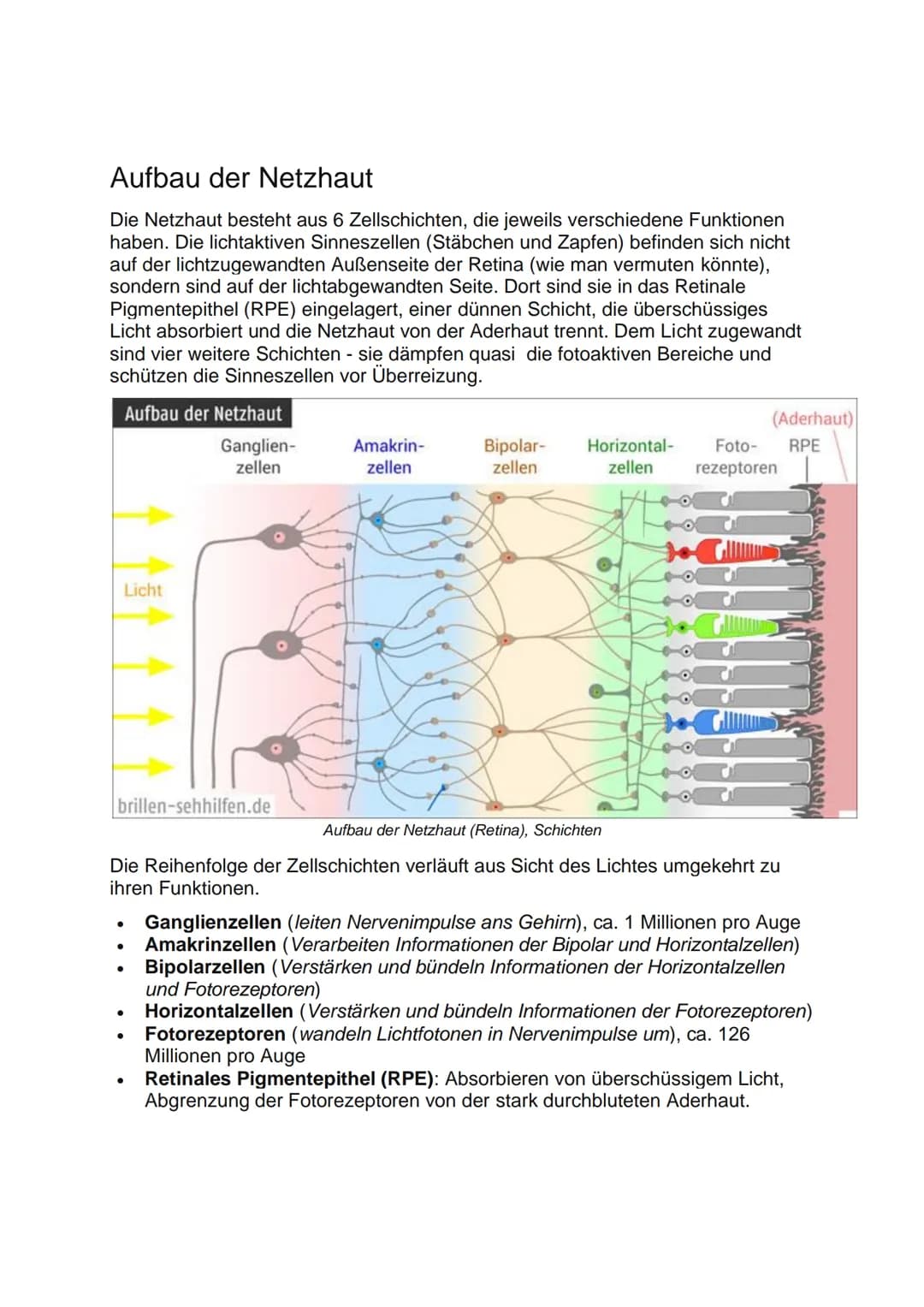 Aufbau der Netzhaut
Die Netzhaut besteht aus 6 Zellschichten, die jeweils verschiedene Funktionen
haben. Die lichtaktiven Sinneszellen (Stäb
