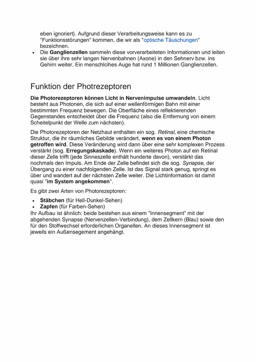 Aufbau der Netzhaut
Die Netzhaut besteht aus 6 Zellschichten, die jeweils verschiedene Funktionen
haben. Die lichtaktiven Sinneszellen (Stäb