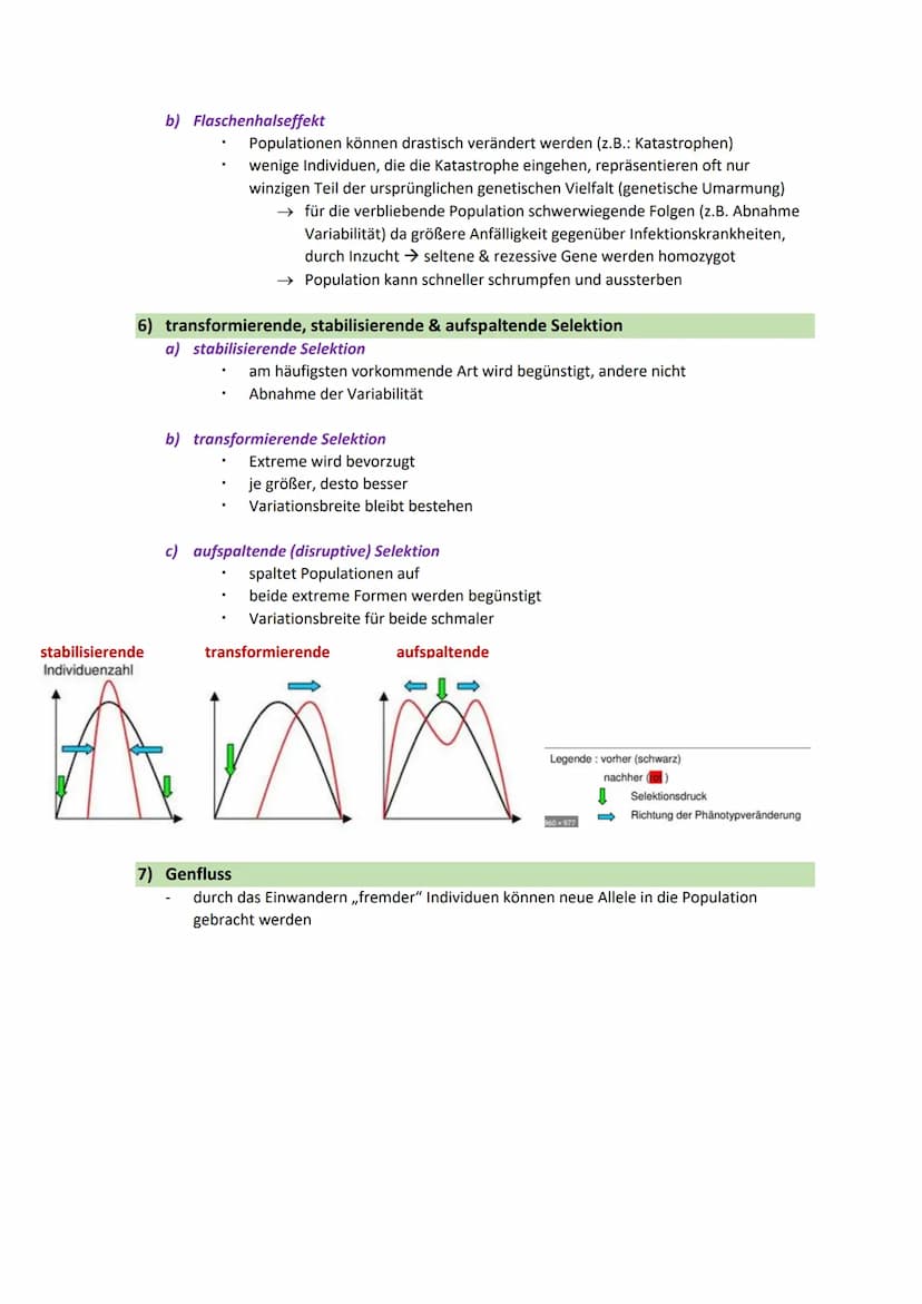 synthetische Evolutionstheorie
1) Definition: synthetische Evolutionstheorie
Vereinigung der Erkenntnisse aus verschiedenen naturwissenschaf