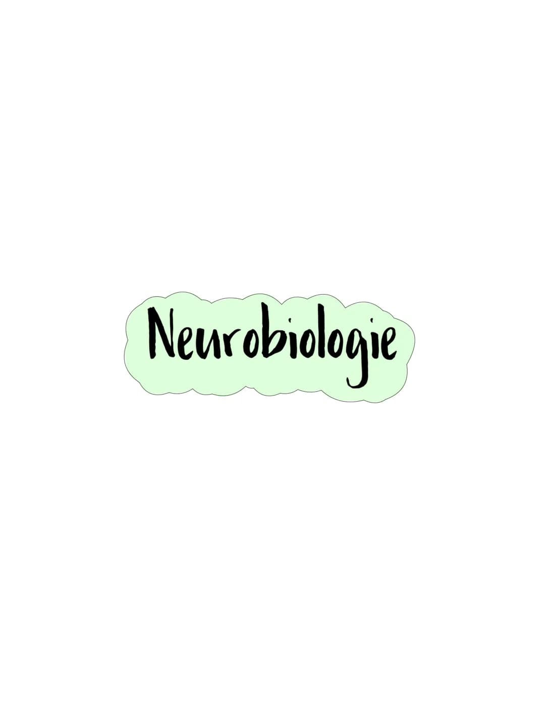 Neurobiologie Bau eines Neurons
Integration
Impuls-
entstehung
Impulsfortleitung
Transmitter-
freisetzung
Bau von Nervenzellen
Neurosoma
(Ze