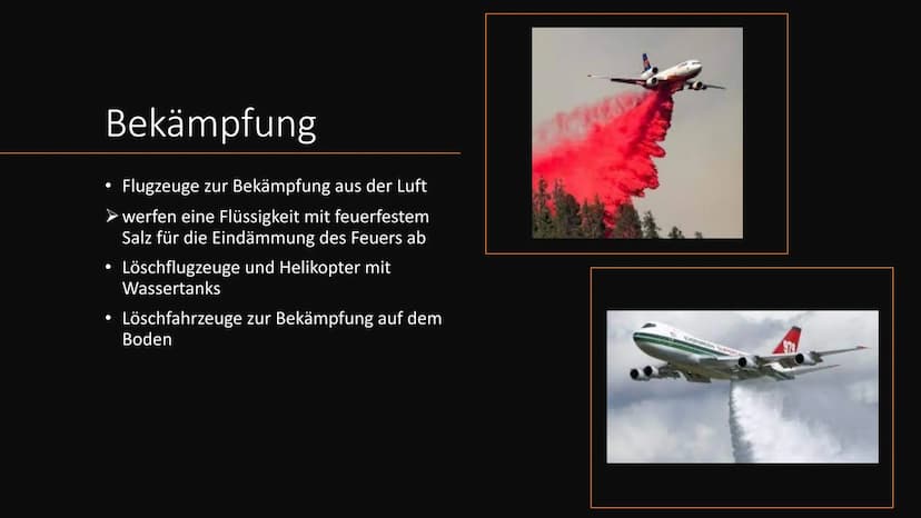 Waldbrände
am Beispiel Nordamerika ●
Was sind Waldbrände?
• Verbreitung
●
Entstehung
Bekämpfung
Prävention
●
●
●
Waldbrände in Nordamerika
-