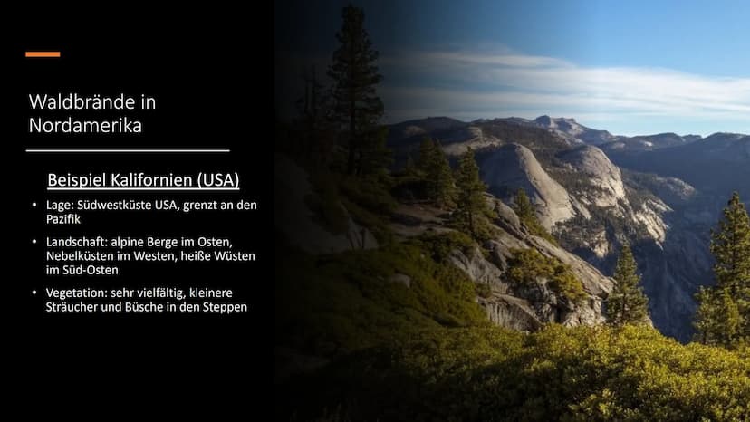 Waldbrände
am Beispiel Nordamerika ●
Was sind Waldbrände?
• Verbreitung
●
Entstehung
Bekämpfung
Prävention
●
●
●
Waldbrände in Nordamerika
-