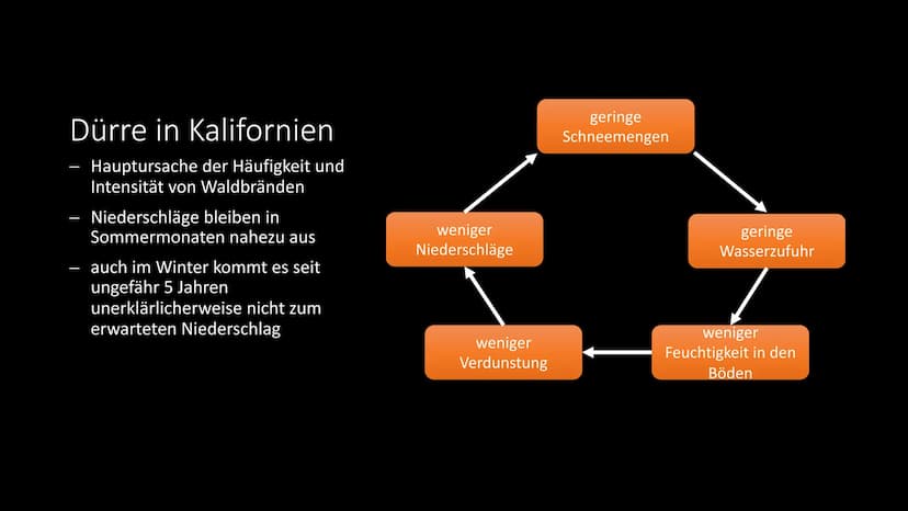 Waldbrände
am Beispiel Nordamerika ●
Was sind Waldbrände?
• Verbreitung
●
Entstehung
Bekämpfung
Prävention
●
●
●
Waldbrände in Nordamerika
-