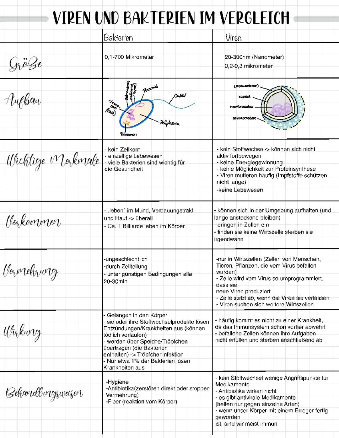 Viren und Bakterien im vergleich 