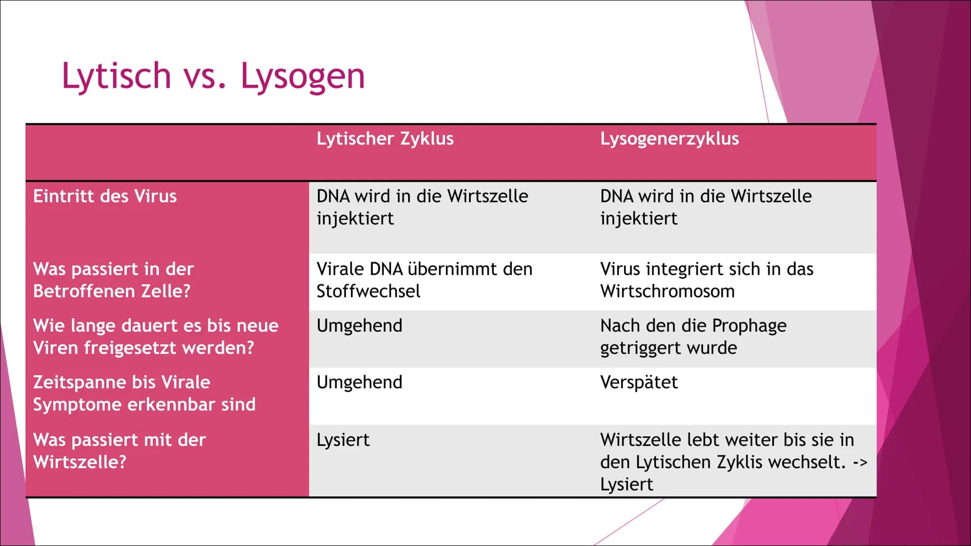 Schule
Fach: Biologie
Fachlehrerin:
Referent:
Gliederung:
1. Einleitung
2. Anatomie
3. Vermehrung
4.
5.
6.
Genetische Rekombination und Gent