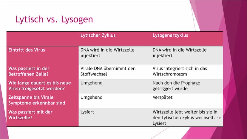 Schule
Fach: Biologie
Fachlehrerin:
Referent:
Gliederung:
1. Einleitung
2. Anatomie
3. Vermehrung
4.
5.
6.
Genetische Rekombination und Gent