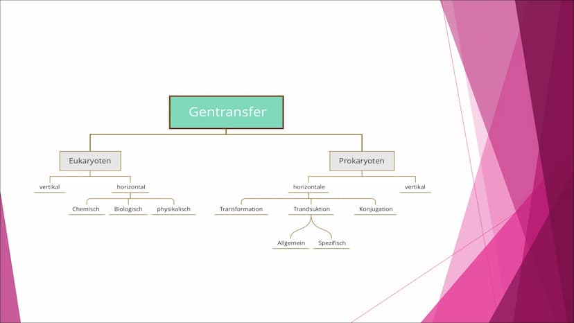 Schule
Fach: Biologie
Fachlehrerin:
Referent:
Gliederung:
1. Einleitung
2. Anatomie
3. Vermehrung
4.
5.
6.
Genetische Rekombination und Gent