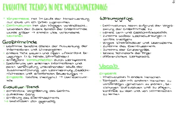 Know Evolutive Trends in der Menschwerdung thumbnail