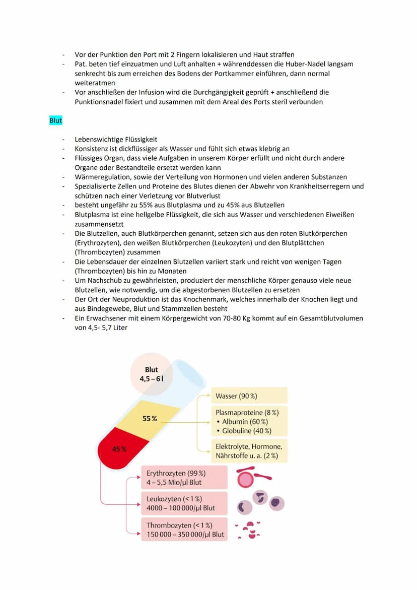Examensthema: Leukämie
Gliederung
Definition
Symptome
Entstehungsfaktoren
Epidemiologie
Diagnostik
Formen
Therapie
Prognose
Knochenmark + St