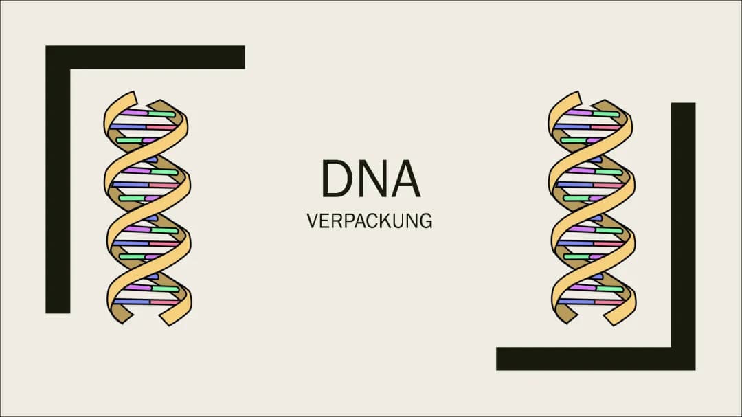 DNA Verpackung 