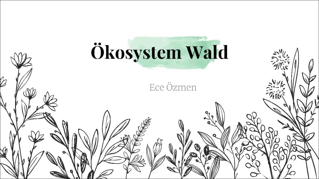 Ökosystem Wald