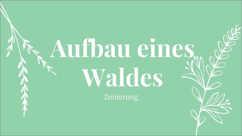 Ökosystem Wald
Ece Özmen Aufbau eines
Waldes
Zonierung
pepes Themen auf die wir eingehen
Wald Definition
- Entwicklungsstadien
- Baumarten
-