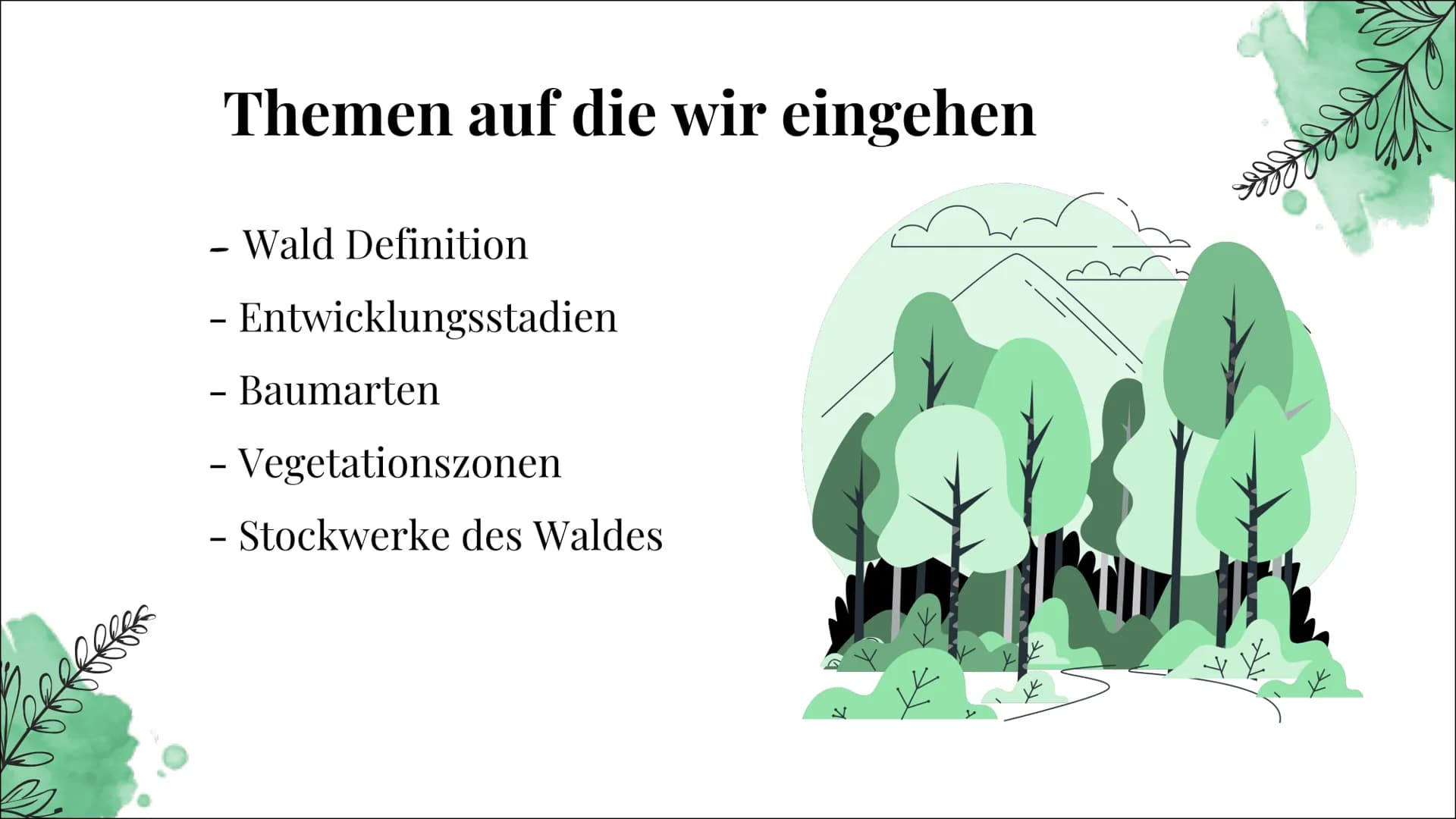 Ökosystem Wald
Ece Özmen Aufbau eines
Waldes
Zonierung
pepes Themen auf die wir eingehen
Wald Definition
- Entwicklungsstadien
- Baumarten
-