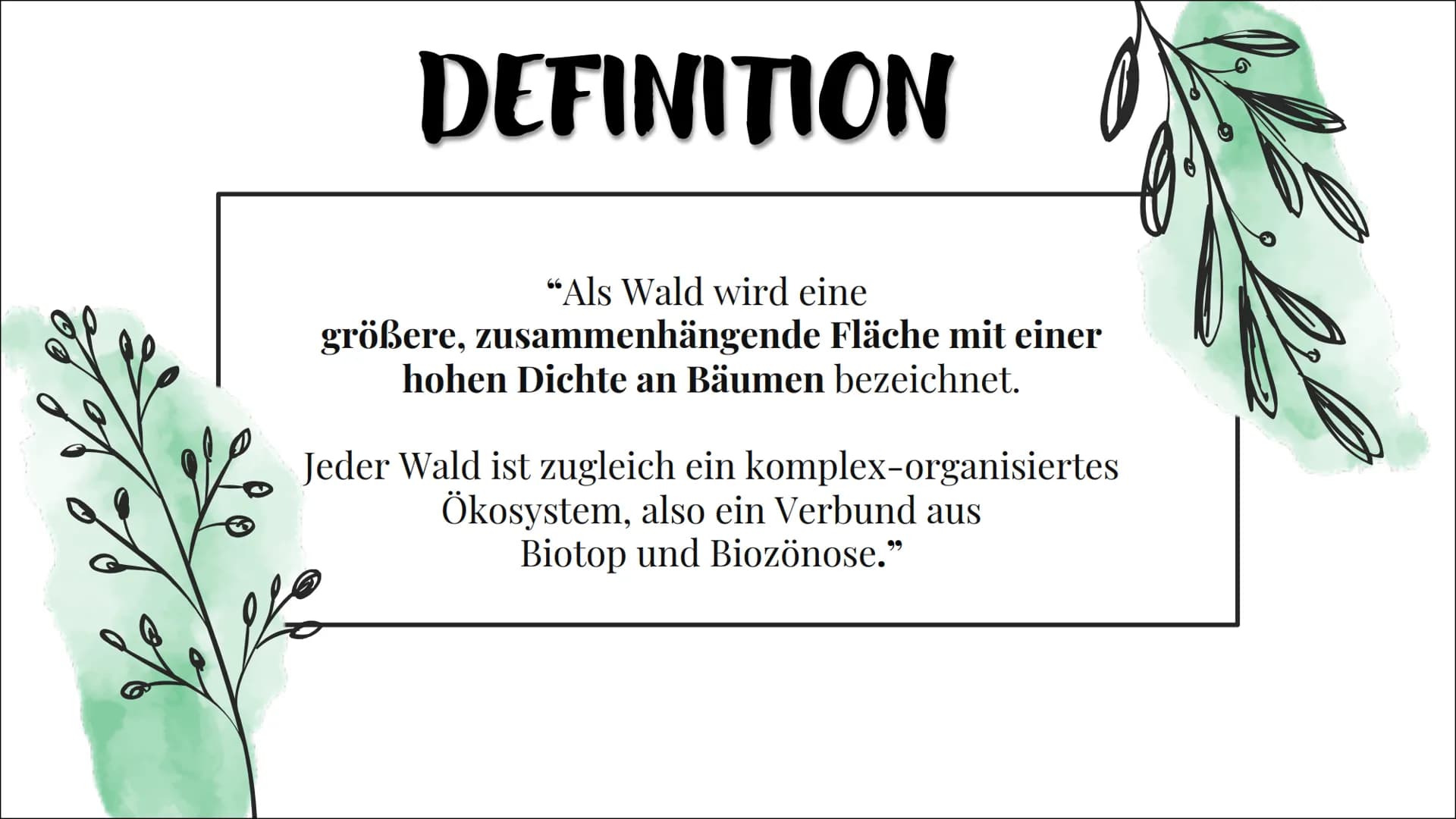 Ökosystem Wald
Ece Özmen Aufbau eines
Waldes
Zonierung
pepes Themen auf die wir eingehen
Wald Definition
- Entwicklungsstadien
- Baumarten
-