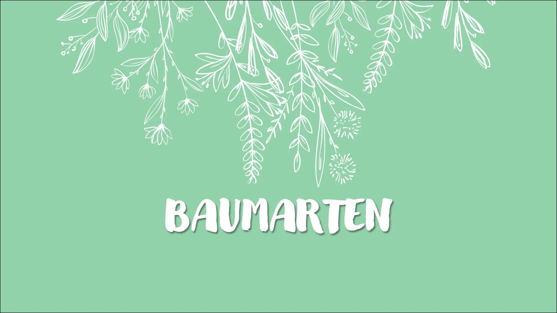 Ökosystem Wald
Ece Özmen Aufbau eines
Waldes
Zonierung
pepes Themen auf die wir eingehen
Wald Definition
- Entwicklungsstadien
- Baumarten
-