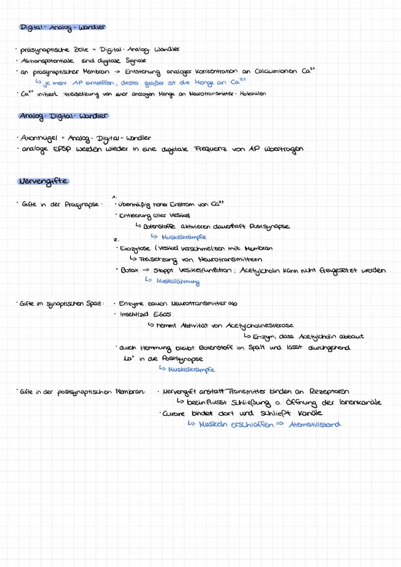 Dendrit
Zellkern
Nervenzelle/Neuron Aufbau:
Soma
Axonnügel
Ruhepotential
Axon
=
Hyelinscheide
verbindung zwever Nervenzellen
Synapsen
Neurob