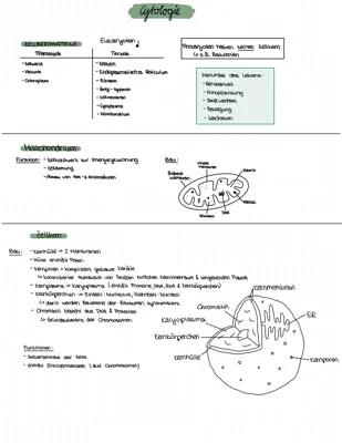 Know Biologie Abiturvorbereitung 2023 thumbnail