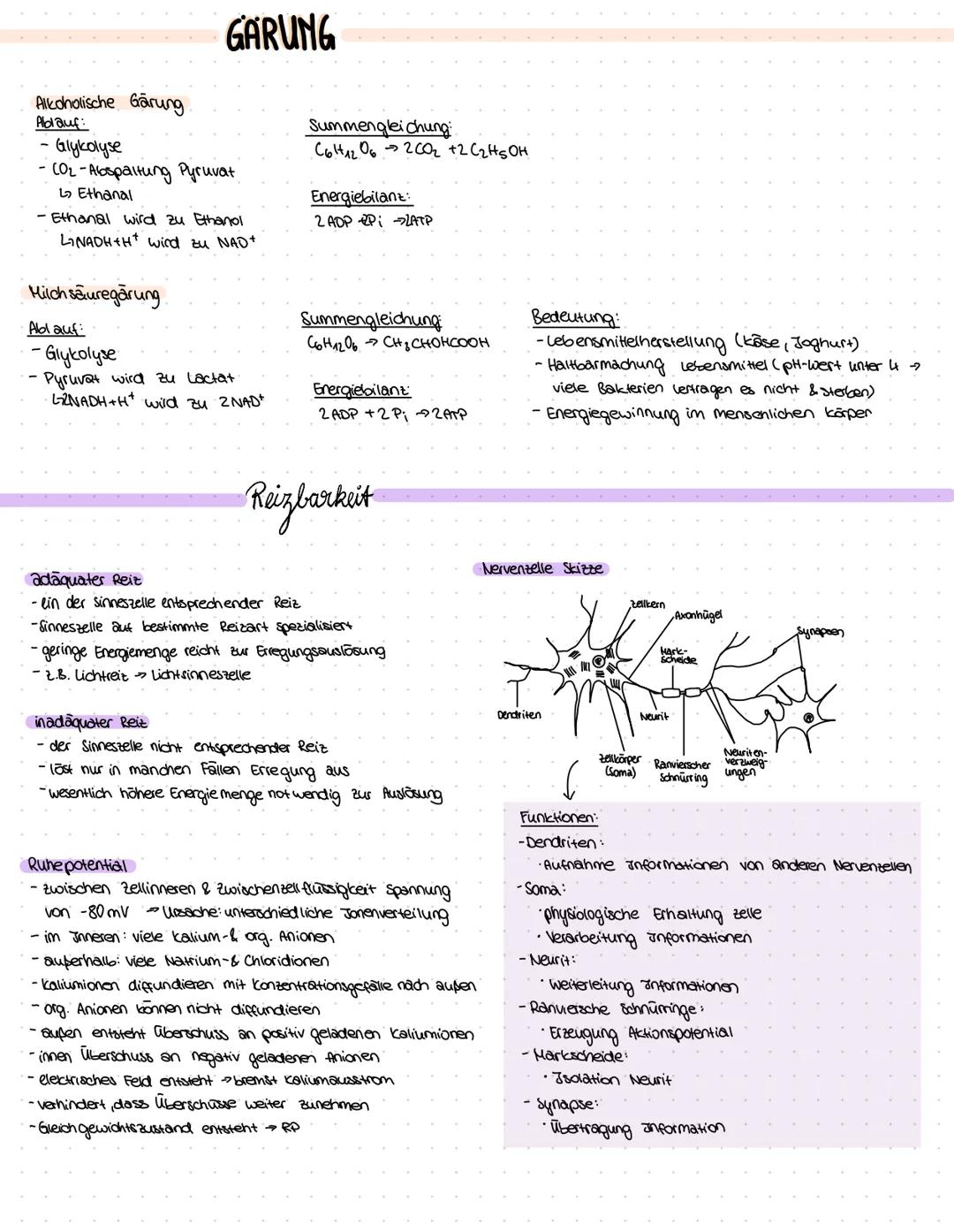 ZELLBESTANDTEILE
Pflanzenzelle
-Zellwand
-Vakuole
-Chloroplast
Bau:
Mitochondrium
Funktion:-Zellkraftwerk zur Energiegewinnung
Zellkern
•Cyt