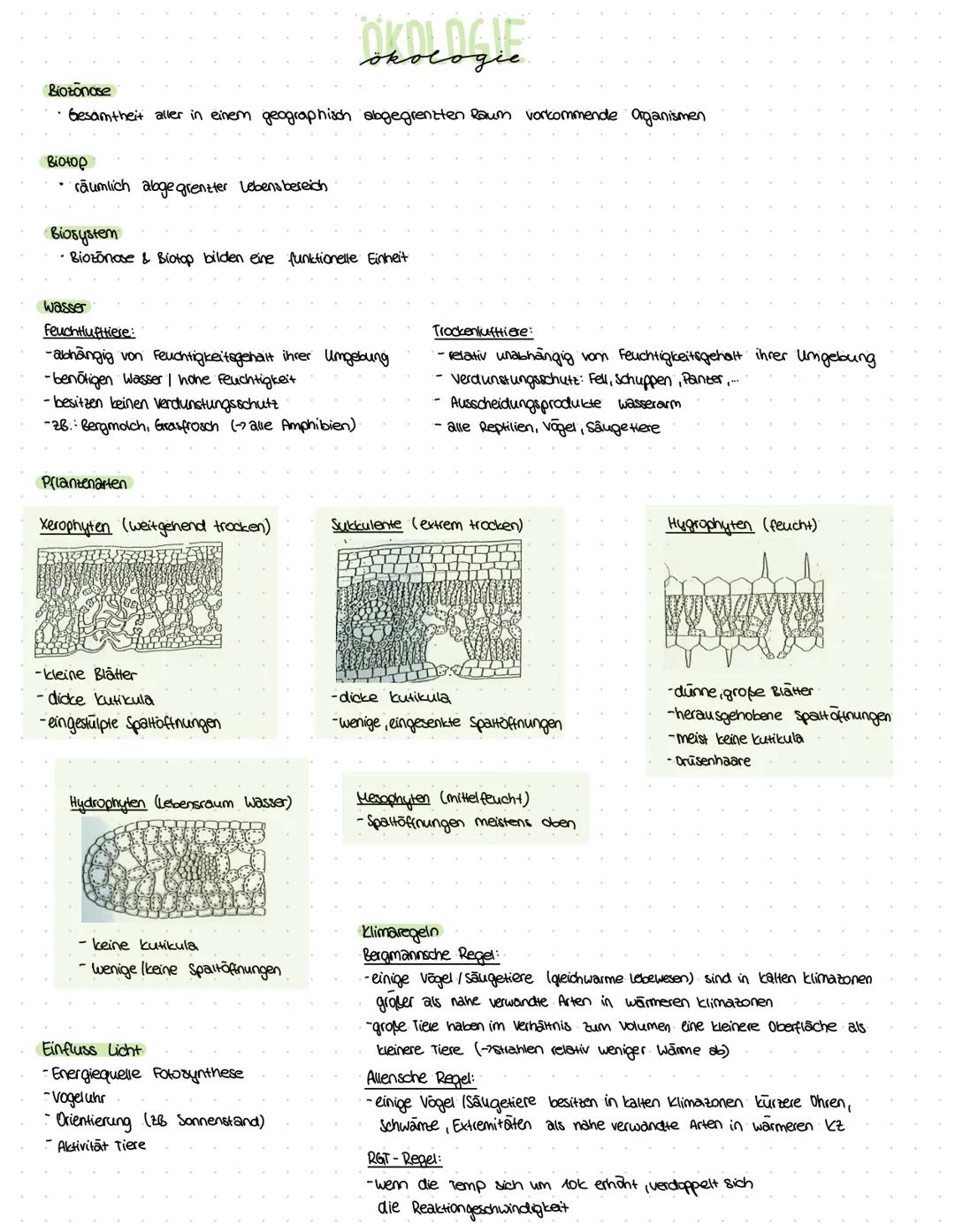 ZELLBESTANDTEILE
Pflanzenzelle
-Zellwand
-Vakuole
-Chloroplast
Bau:
Mitochondrium
Funktion:-Zellkraftwerk zur Energiegewinnung
Zellkern
•Cyt