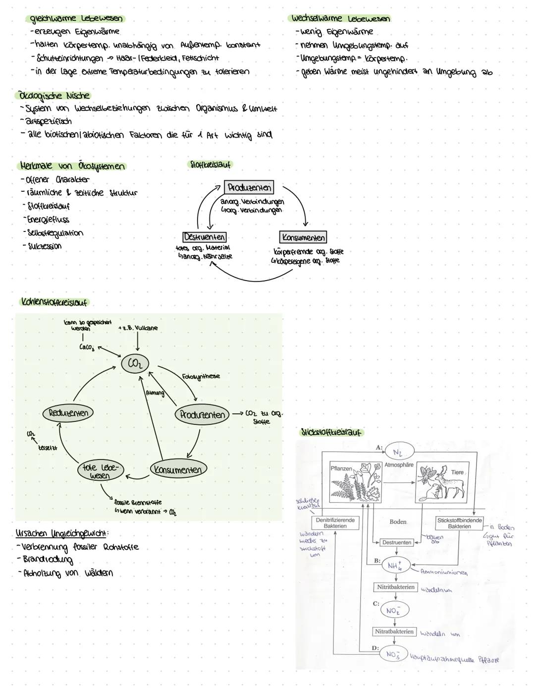 ZELLBESTANDTEILE
Pflanzenzelle
-Zellwand
-Vakuole
-Chloroplast
Bau:
Mitochondrium
Funktion:-Zellkraftwerk zur Energiegewinnung
Zellkern
•Cyt