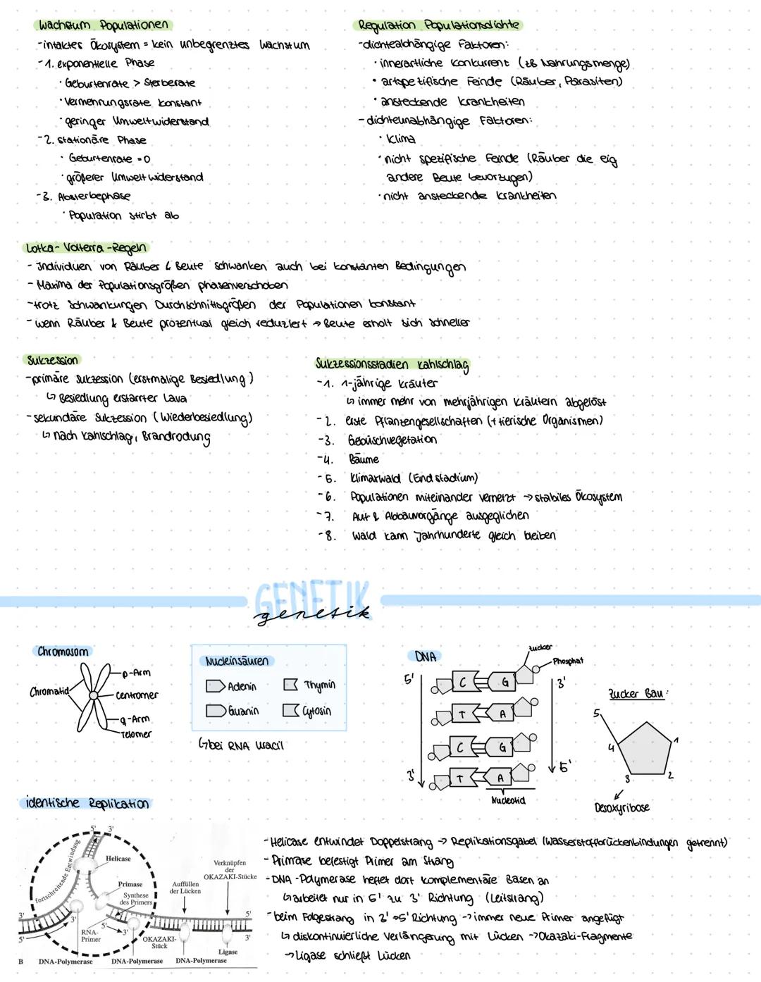 ZELLBESTANDTEILE
Pflanzenzelle
-Zellwand
-Vakuole
-Chloroplast
Bau:
Mitochondrium
Funktion:-Zellkraftwerk zur Energiegewinnung
Zellkern
•Cyt